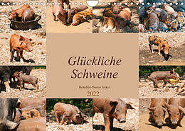 Kalender Glückliche Schweine Berkshire-Iberico Ferkel (Wandkalender 2022 DIN A4 quer) von Meike Bölts