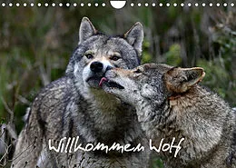 Kalender Willkommen Wolf (Wandkalender 2022 DIN A4 quer) von Benny Trapp