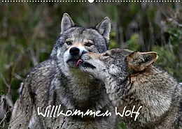 Kalender Willkommen Wolf (Wandkalender 2022 DIN A2 quer) von Benny Trapp