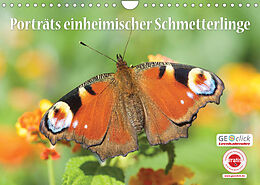 Kalender GEOclick Lernkalender: Porträts einheimischer Schmetterlinge (Wandkalender 2022 DIN A4 quer) von Klaus Feske / GEOclick Lernkalender