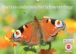 Kalender GEOclick Lernkalender: Porträts einheimischer Schmetterlinge (Wandkalender 2022 DIN A2 quer) von Klaus Feske / GEOclick Lernkalender