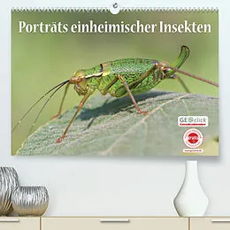 Kalender GEOclick Lernkalender: Porträts einheimischer Insekten (Premium, hochwertiger DIN A2 Wandkalender 2022, Kunstdruck in Hochglanz) von Klaus Feske /GEOclick