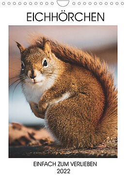 Kalender Eichhörnchen - Einfach zum Verlieben (Wandkalender 2022 DIN A4 hoch) von Same