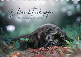 Kalender Charakterköpfe - Herzenshunde im Portrait (Wandkalender 2022 DIN A2 quer) von Saskia Katharina Siebel - Sensiebelfotografie