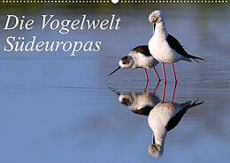 Kalender Die Vogelwelt Südeuropas (Wandkalender 2022 DIN A2 quer) von Benny Trapp