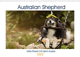 Kalender Australian Shepherd - volle Power mit dem Aussie (Wandkalender 2022 DIN A3 quer) von Andrea Mayer Tierfotografie