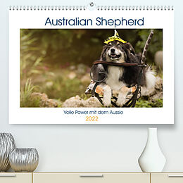 Kalender Australian Shepherd - volle Power mit dem Aussie (Premium, hochwertiger DIN A2 Wandkalender 2022, Kunstdruck in Hochglanz) von Andrea Mayer Tierfotografie