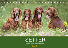 Kalender Setter - Geliebter Freund und Jagdkamerad (Tischkalender 2022 DIN A5 quer) von Andrea Mayer Tierfotografie