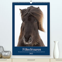Kalender Föhnfrisuren (Premium, hochwertiger DIN A2 Wandkalender 2022, Kunstdruck in Hochglanz) von Anne-Barbara Bernhard