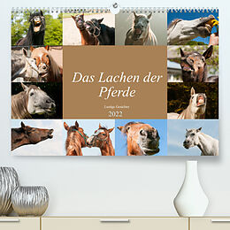 Kalender Das Lachen der Pferde - Lustige Gesichter (Premium, hochwertiger DIN A2 Wandkalender 2022, Kunstdruck in Hochglanz) von Meike Bölts