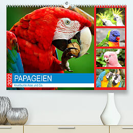 Kalender Papageien. Knallbunte Aras und Co. (Premium, hochwertiger DIN A2 Wandkalender 2022, Kunstdruck in Hochglanz) von Rose Hurley