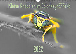 Kalender Kleine Krabbler im Colorkey-Effekt (Wandkalender 2022 DIN A3 quer) von Dany´s Blickwinkel