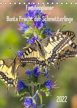 Kalender Familienplaner Bunte Pracht der Schmetterlinge (Tischkalender 2022 DIN A5 hoch) von Dany´s Blickwinkel
