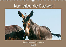 Kalender Kunterbunte Eselwelt - Liebenswerte Langohren (Wandkalender 2022 DIN A3 quer) von Meike Bölts