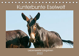 Kalender Kunterbunte Eselwelt - Liebenswerte Langohren (Tischkalender 2022 DIN A5 quer) von Meike Bölts