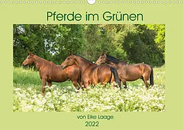 Kalender Pferde im Grünen (Wandkalender 2022 DIN A3 quer) von Elke Laage