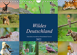 Kalender Wildes Deutschland (Wandkalender 2022 DIN A4 quer) von Andreas"aFriend" Freund