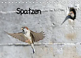 Kalender Spatzen (Tischkalender 2022 DIN A5 quer) von Benny Trapp