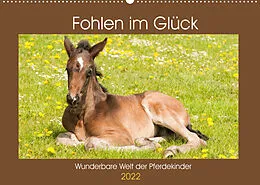 Kalender Fohlen im Glück - Wunderbare Welt der Pferdekinder (Wandkalender 2022 DIN A2 quer) von Meike Bölts