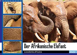 Kalender Der Afrikanische Elefant - Loxodonta africana (Wandkalender 2022 DIN A3 quer) von Barbara Fraatz
