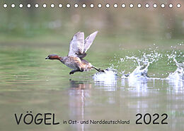 Kalender Vögel in Ost- und Norddeutschland 2022 (Tischkalender 2022 DIN A5 quer) von Rolf Jansen