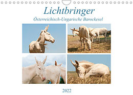 Kalender Lichtbringer - Österreichisch-Ungarische Barockesel (Wandkalender 2022 DIN A4 quer) von Meike Bölts