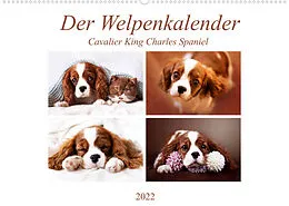Kalender Der Welpenkalender - Cavalier King Charles Spaniel (Wandkalender 2022 DIN A2 quer) von Janina Bürger