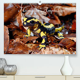 Kalender Heimische Amphibien (Premium, hochwertiger DIN A2 Wandkalender 2022, Kunstdruck in Hochglanz) von Benny Trapp