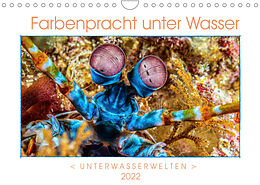 Kalender Farbenpracht unter Wasser (Wandkalender 2022 DIN A4 quer) von Dieter Gödecke