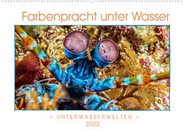 Kalender Farbenpracht unter Wasser (Wandkalender 2022 DIN A2 quer) von Dieter Gödecke