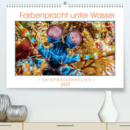 Kalender Farbenpracht unter Wasser (Premium, hochwertiger DIN A2 Wandkalender 2022, Kunstdruck in Hochglanz) von Dieter Gödecke