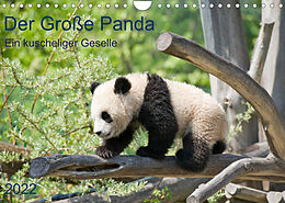 Kalender Der Große Panda Ein kuscheliger Geselle (Wandkalender 2022 DIN A4 quer) von Prime Selection