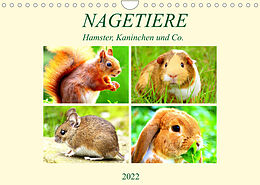 Kalender Nagetiere. Hamster, Kaninchen und Co. (Wandkalender 2022 DIN A4 quer) von Rose Hurley