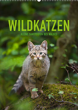 Kalender Wildkatzen - Kleine Samtpfoten des Waldes (Wandkalender 2022 DIN A2 hoch) von Christina Krutz