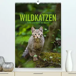 Kalender Wildkatzen - Kleine Samtpfoten des Waldes (Premium, hochwertiger DIN A2 Wandkalender 2022, Kunstdruck in Hochglanz) von Christina Krutz