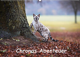 Kalender Chronas Abenteuer (Wandkalender 2022 DIN A2 quer) von Robyn meets Elos Photography