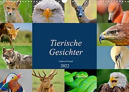 Kalender Tierische Gesichter (Wandkalender 2022 DIN A3 quer) von Andreas 