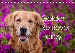 Kalender Golden Retriever Hailey Fotokalender (Tischkalender 2022 DIN A5 quer) von Daniela Hofmeister