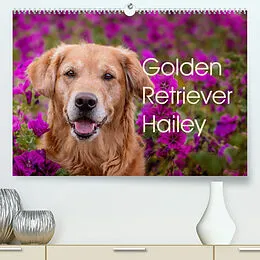 Kalender Golden Retriever Hailey Fotokalender (Premium, hochwertiger DIN A2 Wandkalender 2022, Kunstdruck in Hochglanz) von Daniela Hofmeister