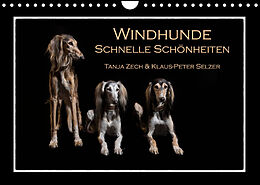 Kalender Windhunde - Schnelle Schönheiten (Wandkalender 2022 DIN A4 quer) von Tanja Zech &amp; Klaus-Peter Selzer