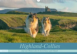 Kalender Highland-Collies - Auf vier Pfoten durch Schottland und Irland (Wandkalender 2022 DIN A3 quer) von Julia Elling