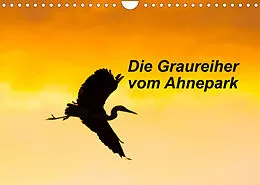 Kalender Die Graureiher vom Ahnepark (Wandkalender 2022 DIN A4 quer) von Wilfried Martin