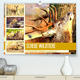 Kalender Scheue Wildtiere in heimischen Wäldern und Bergen (Premium, hochwertiger DIN A2 Wandkalender 2022, Kunstdruck in Hochglanz) von Rose Hurley