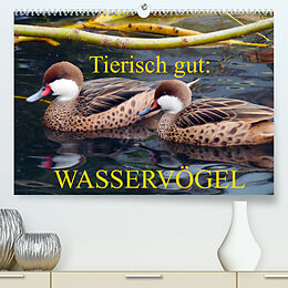 Kalender Tierisch gut: Wasservögel (Premium, hochwertiger DIN A2 Wandkalender 2022, Kunstdruck in Hochglanz) von Gisela Kruse