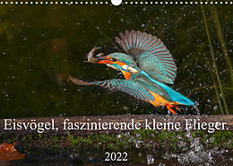 Kalender Eisvögel, faszinierende kleine Flieger. (Wandkalender 2022 DIN A3 quer) von Wiebke von der Heyde