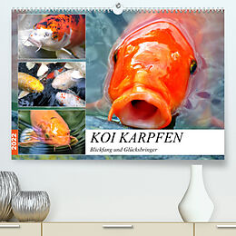 Kalender Koi Karpfen. Blickfang und Glücksbringer (Premium, hochwertiger DIN A2 Wandkalender 2022, Kunstdruck in Hochglanz) von Rose Hurley