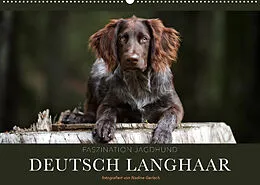 Kalender Faszination Jagdhund - Deutsch Langhaar (Wandkalender 2022 DIN A2 quer) von Nadine Gerlach