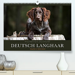 Kalender Faszination Jagdhund - Deutsch Langhaar (Premium, hochwertiger DIN A2 Wandkalender 2022, Kunstdruck in Hochglanz) von Nadine Gerlach