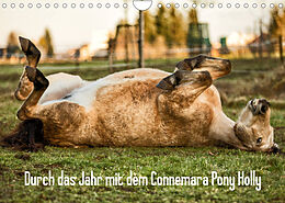 Kalender Durch das Jahr mit dem Connemara Pony Holly (Wandkalender 2022 DIN A4 quer) von Romy Pfeifer