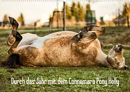 Kalender Durch das Jahr mit dem Connemara Pony Holly (Wandkalender 2022 DIN A2 quer) von Romy Pfeifer